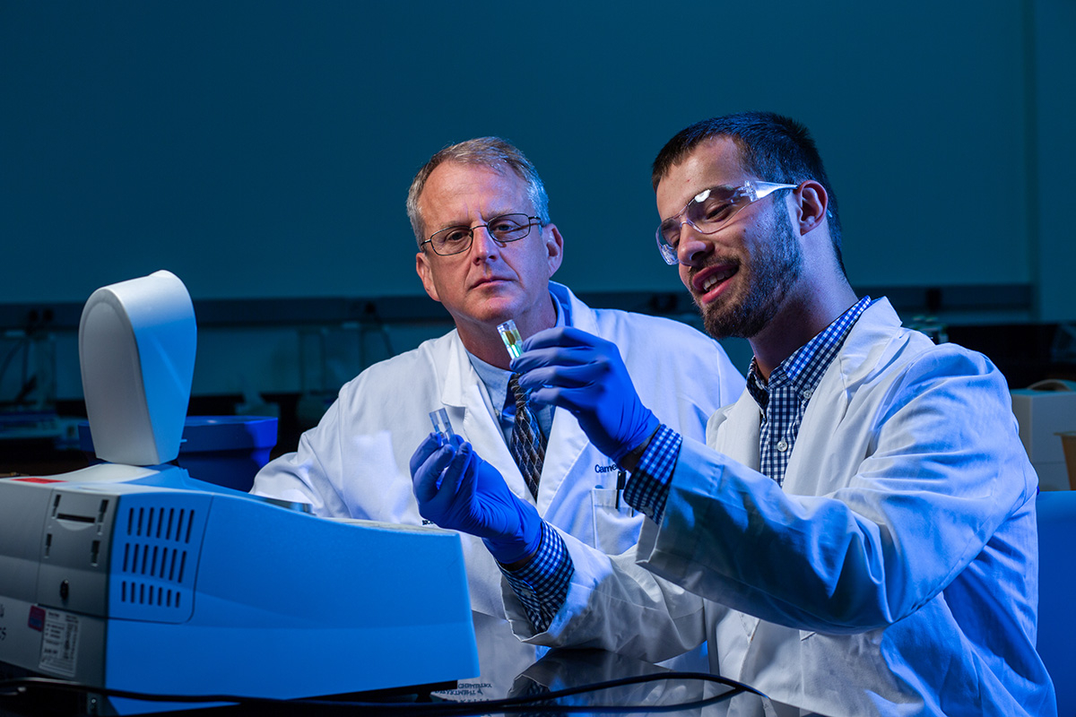 Biology professor leads ongoing research in embryo development in ...